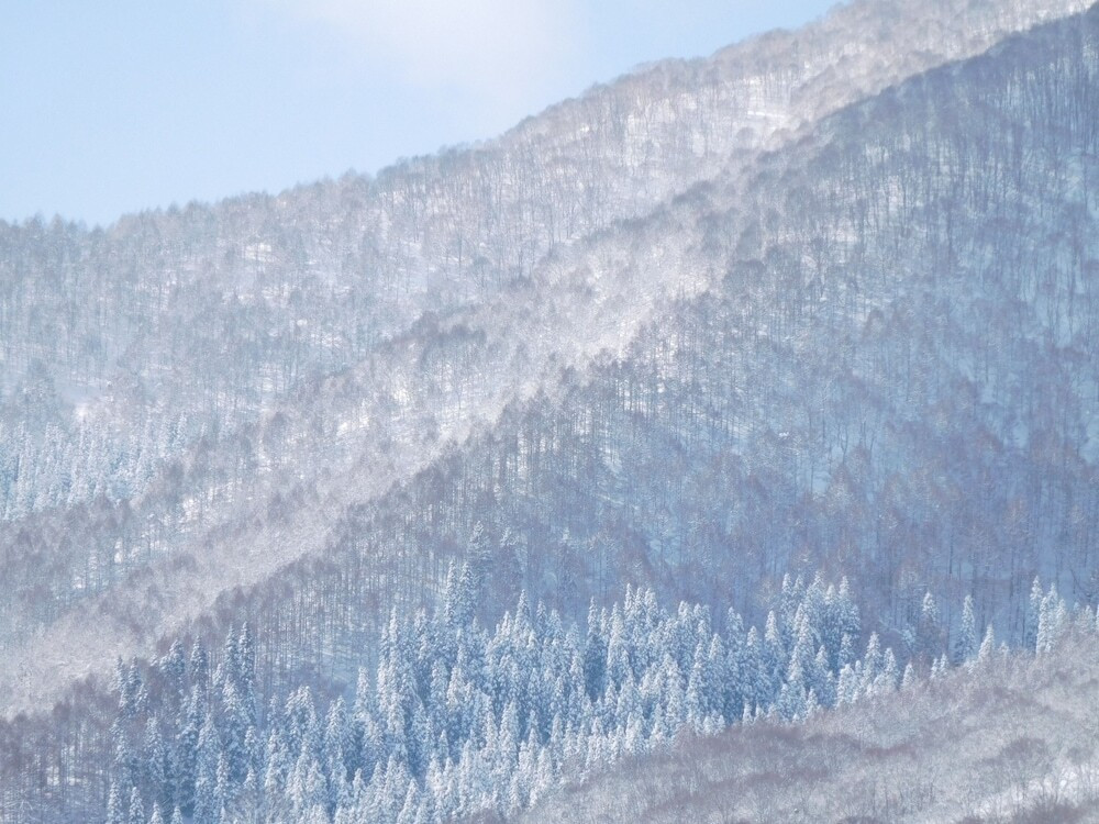 マウンテン ビュー