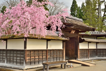 鶴ヶ城公園(会津若松市)1051058
