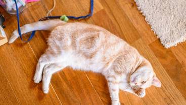 施設内の設備 / 19