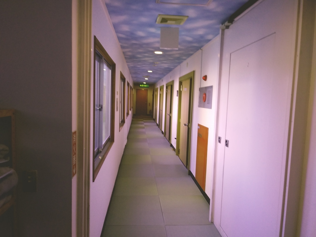 建物は古びているがメンテナンスは良好。