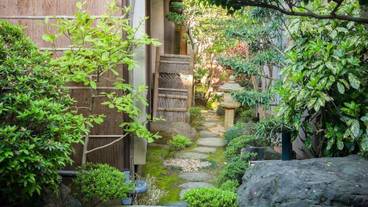 日本庭園 / 18