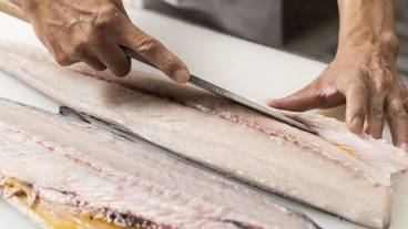 食事・飲み物 / 17