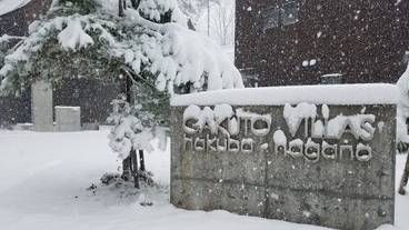 施設の敷地 / 10