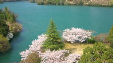 バルコニーからの眺望 / 12