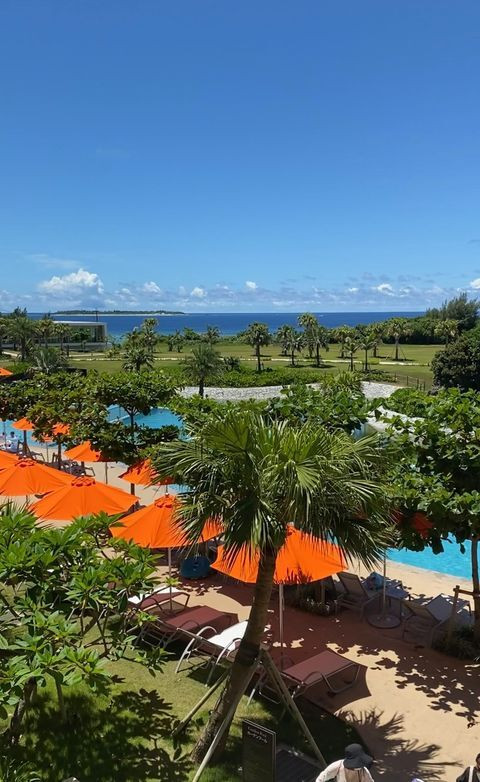 yoocoo_oさんの写真 / 1