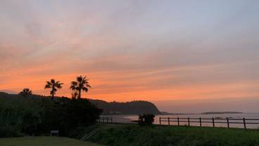 ビーチ / オーシャン ビュー / 21