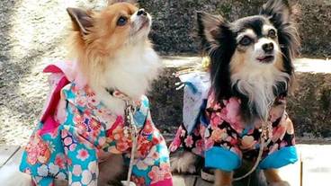 ランド ビュー / 30