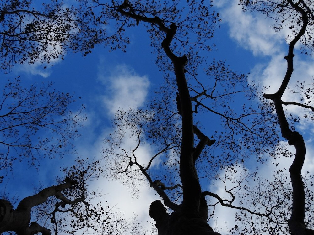 施設からの眺望