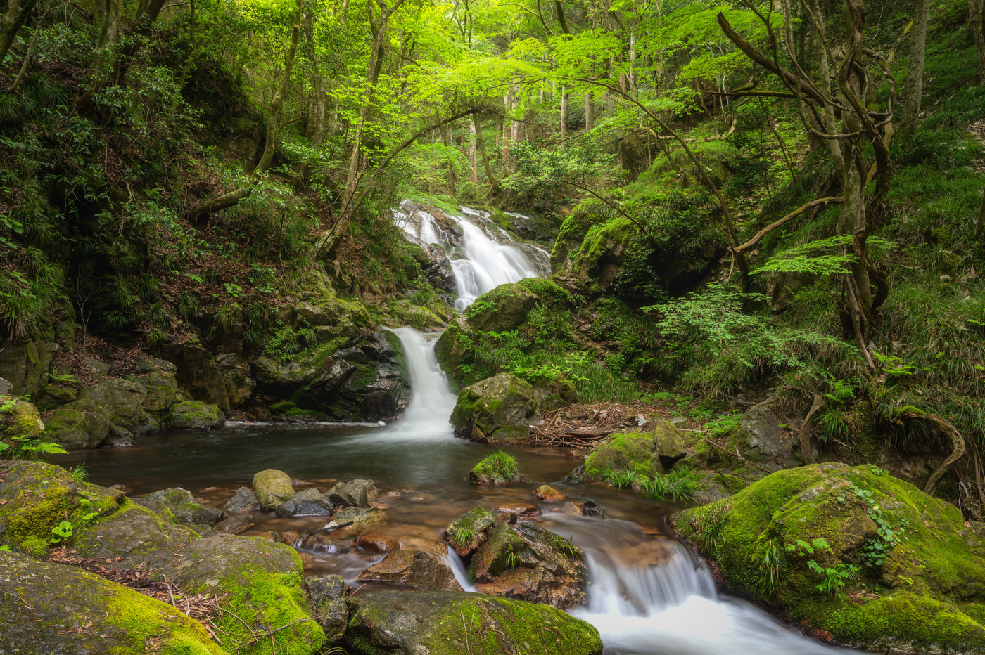 茨城県常陸大宮市　新緑の横川の下滝