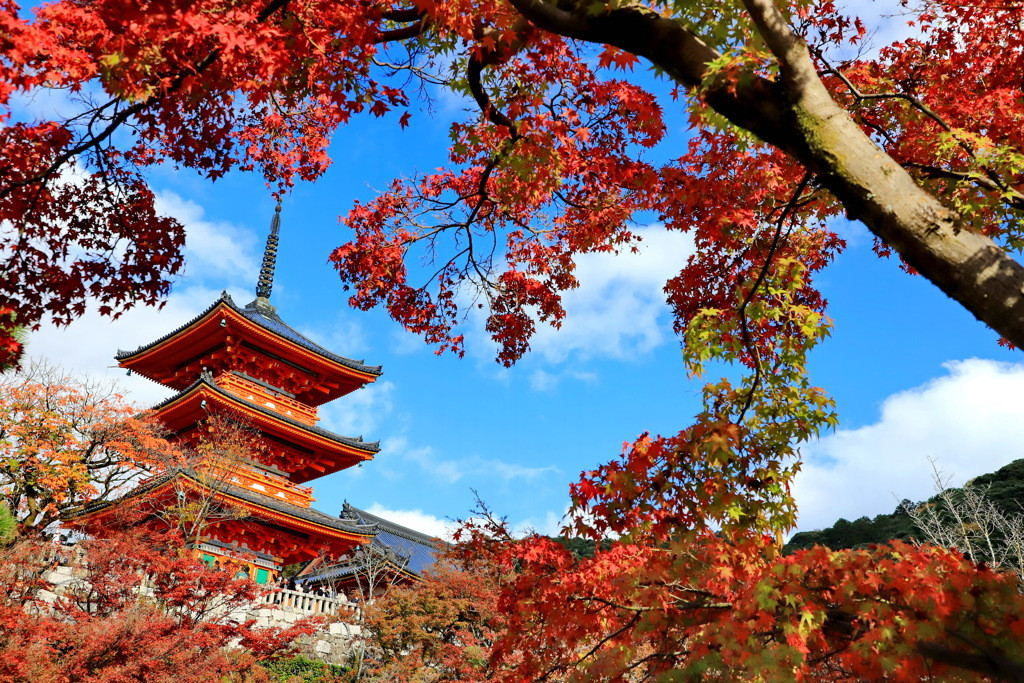 永観堂に清水寺、嵐山など秋の「京都」は魅力たっぷり2440214