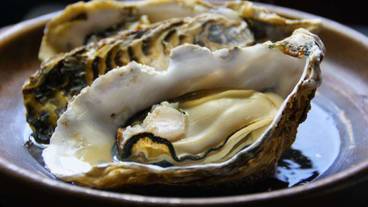 レストラン / 24