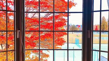 部屋からの景観 / 15