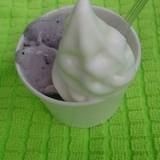 ナトゥーラキョウト 梅小路公園前店（ナトゥーラキョウト）