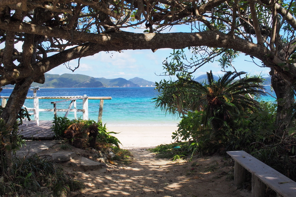 【加計呂麻島】奄美大島の南、青く透明な美しい海の秘島!3547117