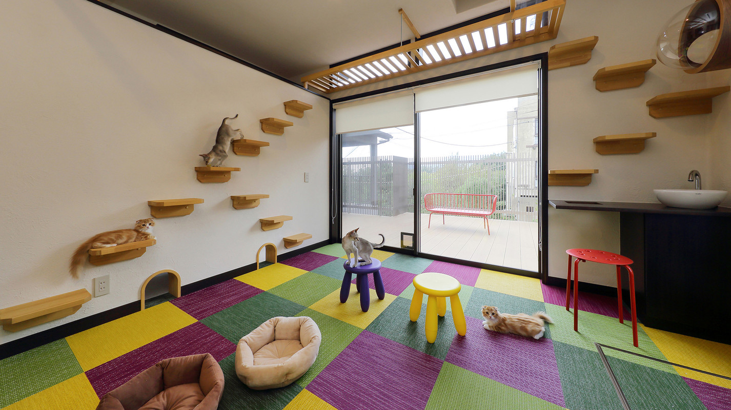 ルーシーキキ（ルーシーキキ） / 12