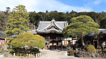 観光スポット / 11