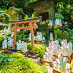 神水が湧き出る！幻想的な鎌倉のパワースポット「佐助稲荷神社」