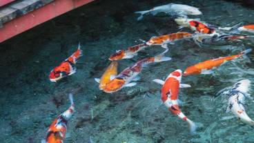 施設内の設備 / 1