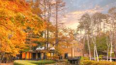 フォレストヴィレッジ