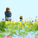福岡でお花畑にうっとり♡お花の絶景が楽しめるスポット5選