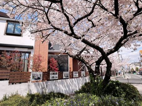 コンセプトハウス星田 / 4