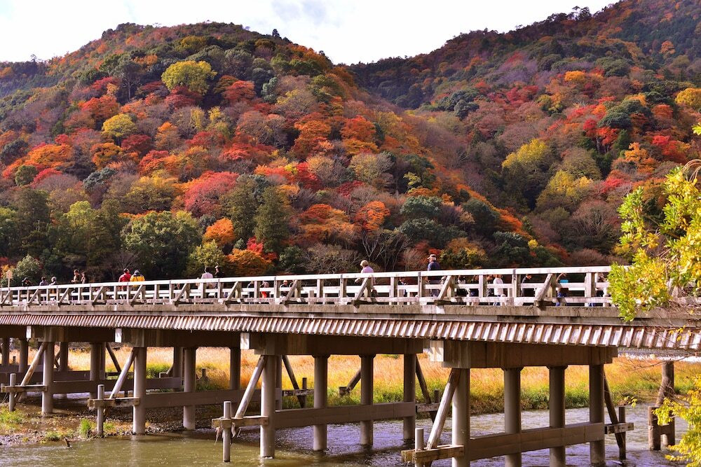 トレインビューのある和室が大人気！3949148