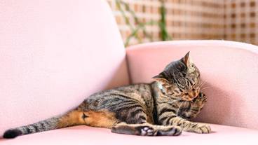 施設内の設備 / 26