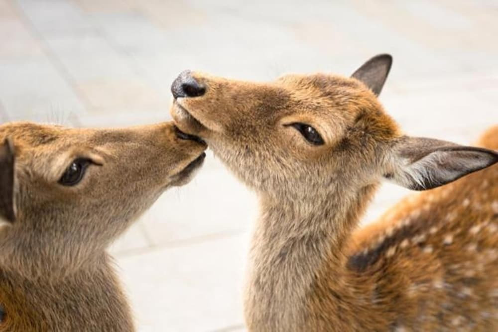 シティ ビュー