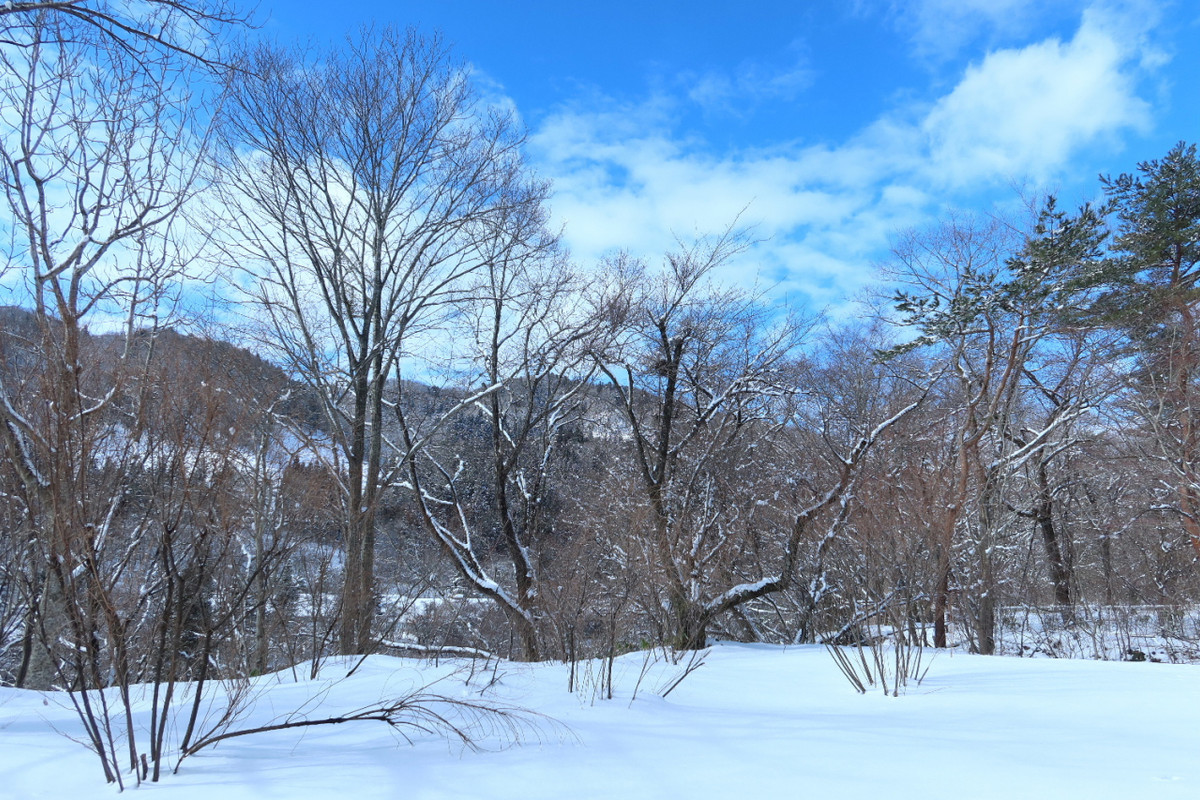 窓の外は、一面雪景色♪