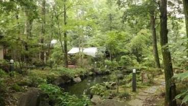 施設の敷地 / 10