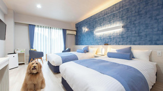 [オーシャンビュー] スタンダードツイン