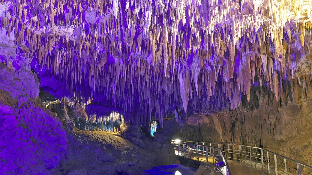 おきなわワールド(3) / 5