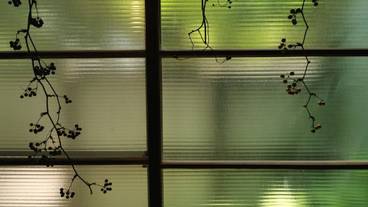 リビング エリア / 12