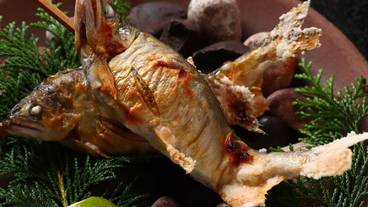 食事・飲み物 / 11