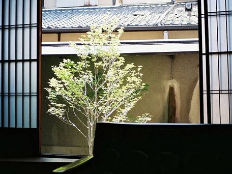 五条ゲストハウス 別館 / 4