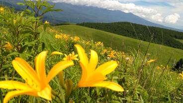 ランド ビュー / 27