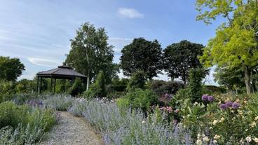 観光スポット / 10