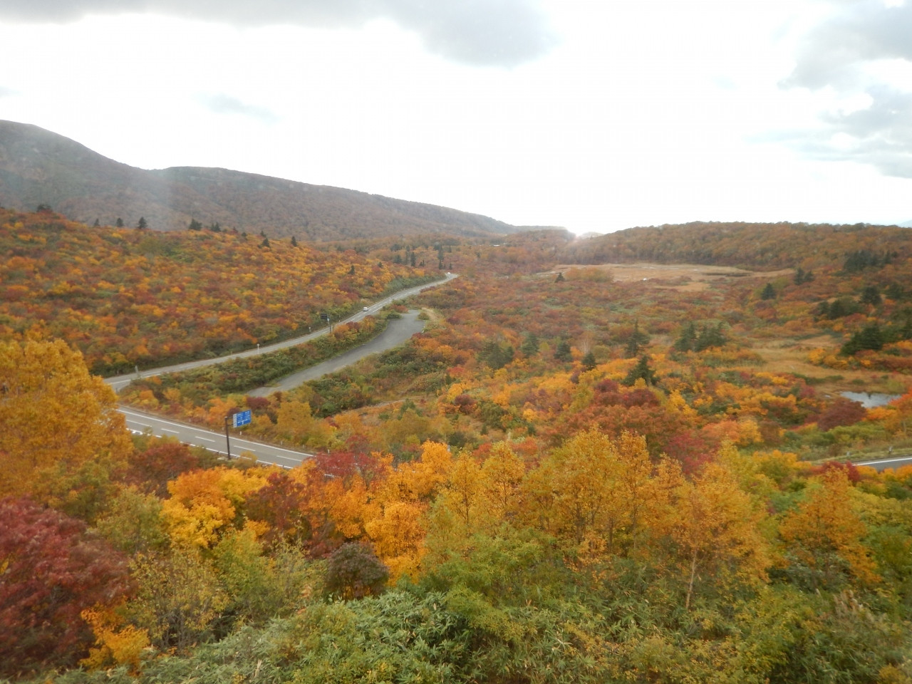 秋田県東成瀬村3441857