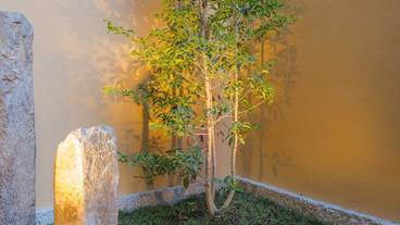 テラス / パティオ / 26