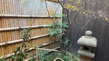 客室 / 5