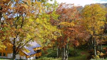 マウンテン ビュー / 22