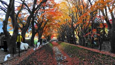 観光スポット / 2