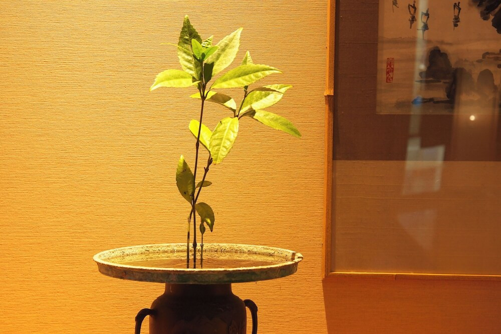 建物のデザイン