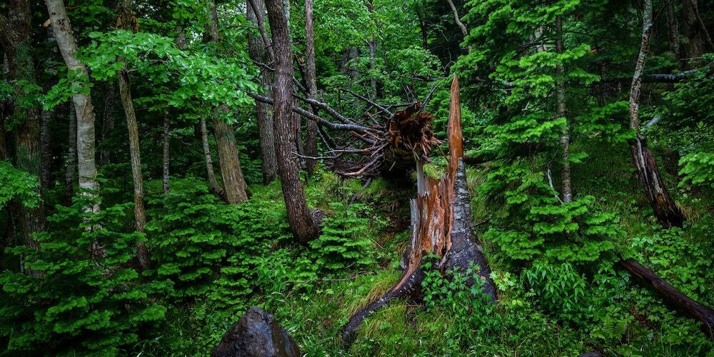 施設からの眺望