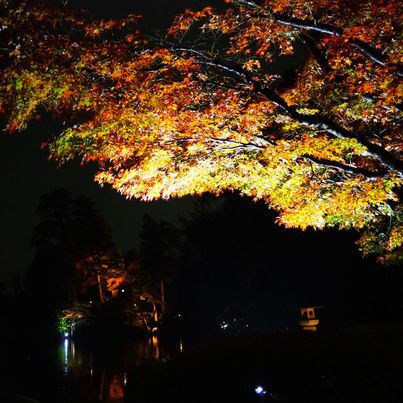 hatosabukoさんの写真 / 2