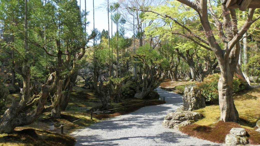 しょうざんリゾート京都の小道 / 2