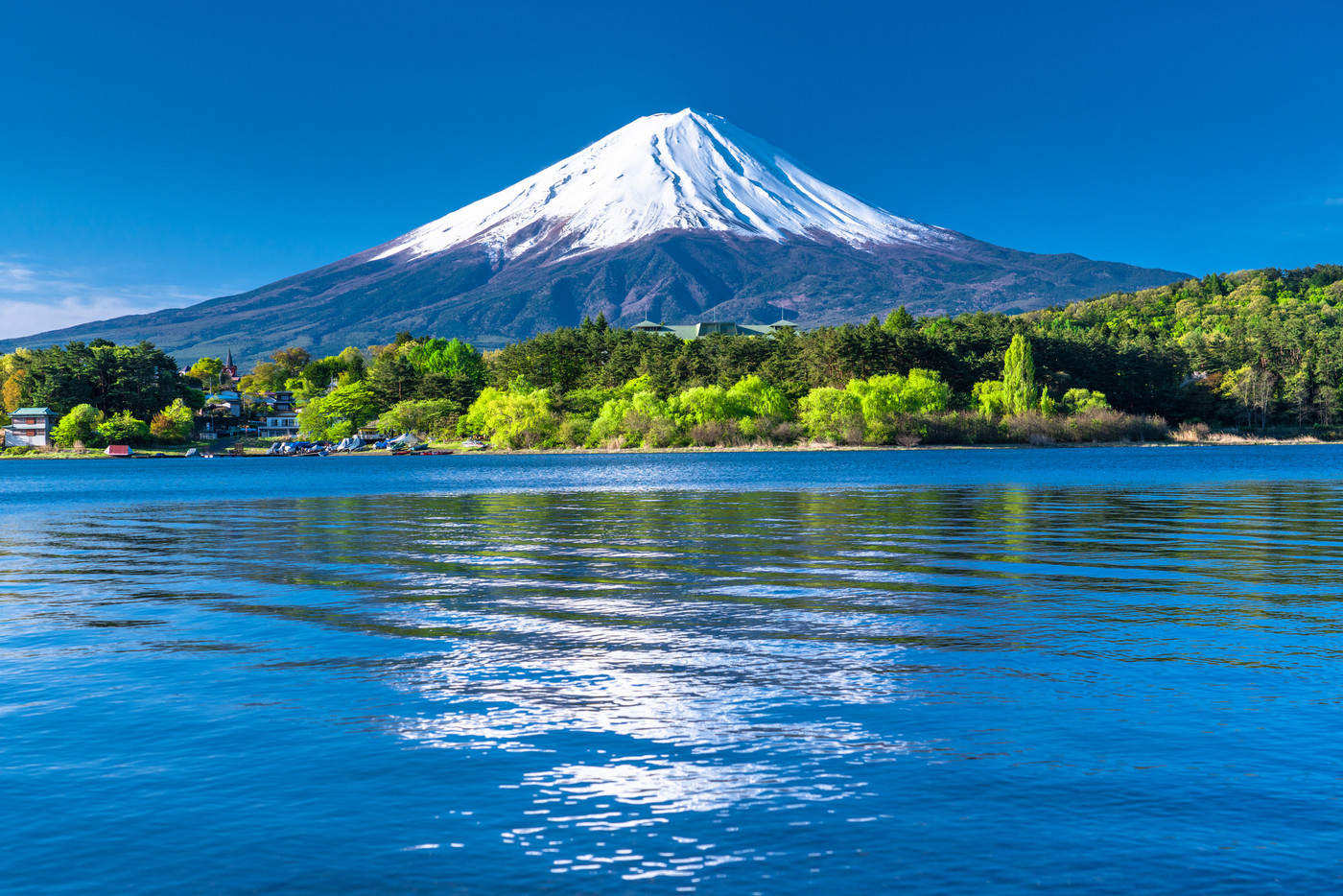 《山梨県》初夏の富士山・河口湖湖畔の眺め