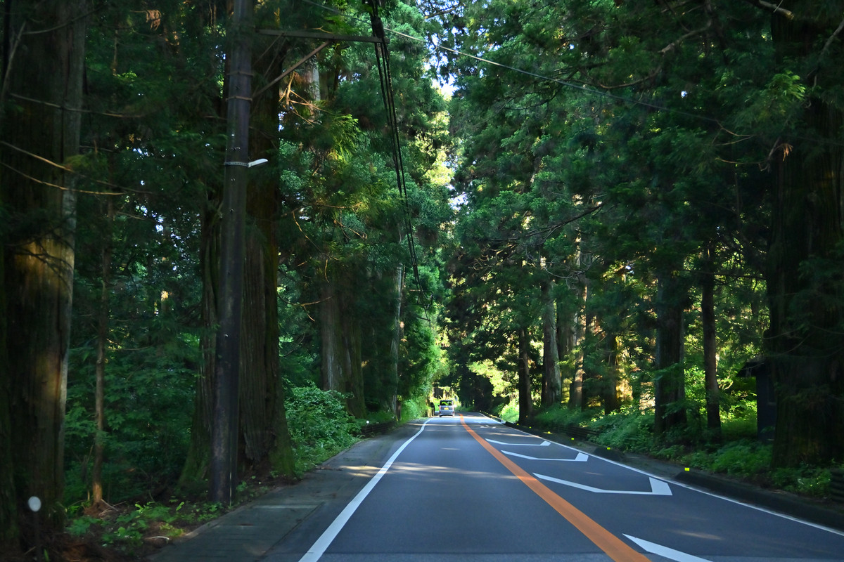 国道119号線