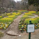 神戸布引ハーブ園/ロープウェイ（コウベヌノビキハーブエンロープウェイ）