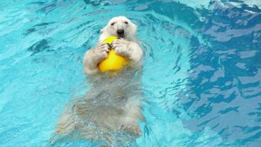 観光スポット / 12